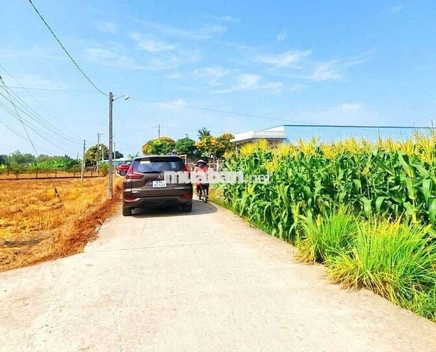 Hàng Ngộp, chỉ 385tr sở hữu 112m² đất thổ đường ô tô