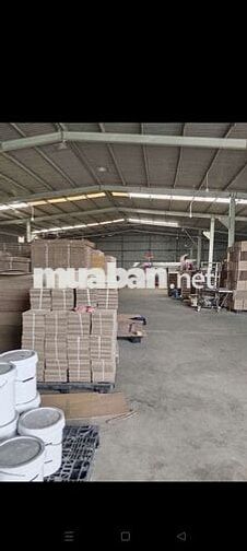 xưởng cho thuê Bình mỹ củ chi giá rẻ