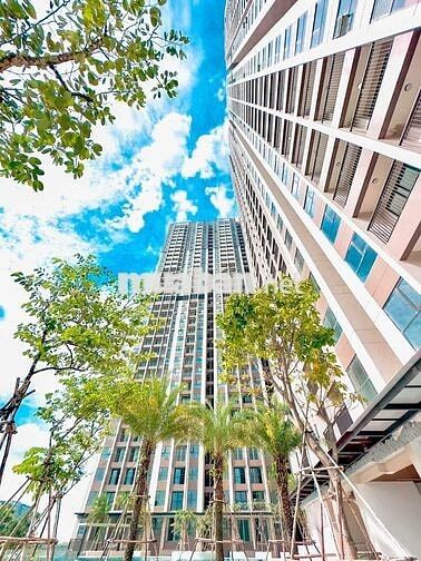 Cho thuê 3PN 2WC 86m Full NT chung cư Opal Skyline Lái Thiêu chỉ 9TR