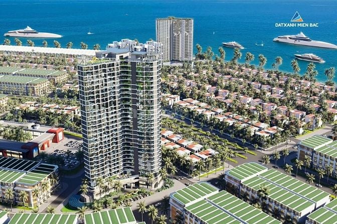 Sở hữu căn hộ 1PN+ view trọn Vịnh di sản tầng 24