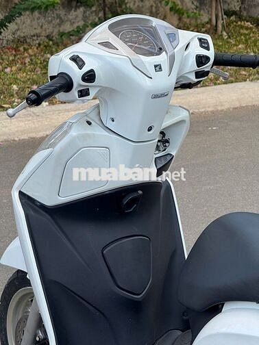 Honda Lead 110 2014 Trắng Tự động