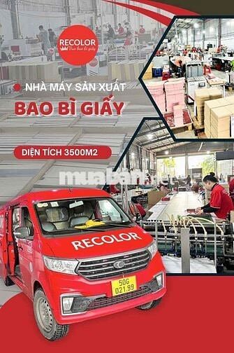 NAM LĐPT Thời Vụ - Bình Tân
