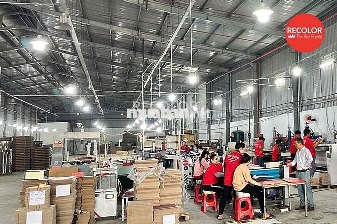 NAM LĐPT Thời Vụ - Bình Tân