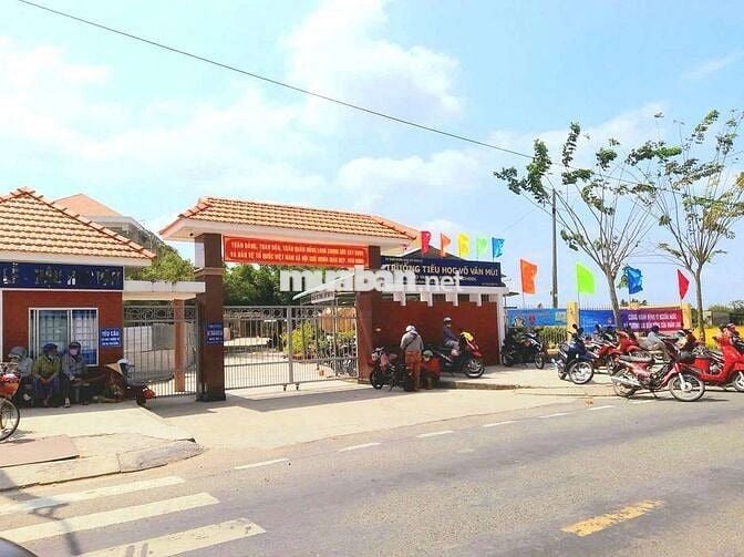 chỉ 590tr sở hữu 135m2 đất thổ đối diện trường học Võ Văn Mùi