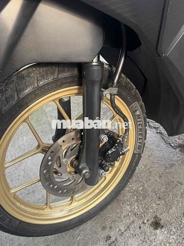 vario 2018