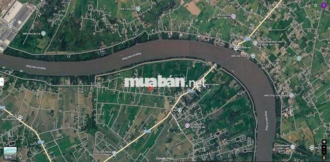 1968m2 đất lúa – quy hoạch full đất thổ
