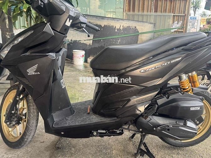vario 2018
