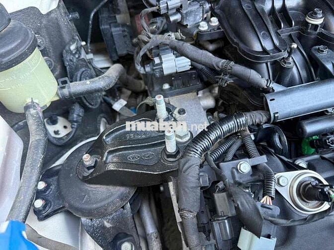 Kia Sedona 2020 3.3 Premium Xăng 105.000 km Trắng