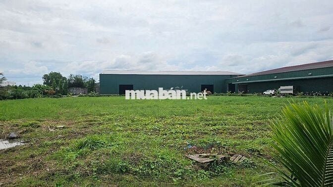 Cho thuê kho xưởng 1.000m² tại Bến Lức, Long An