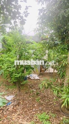 Cần tiền bán gấp đất Xuân Hoà - Giá rẻ nhất khu vực, xem ngay