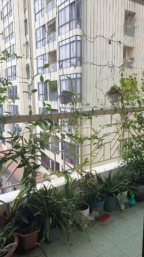 Chính chủ muốn bán căn số 612, E3b Yên Hoà, 94m2.