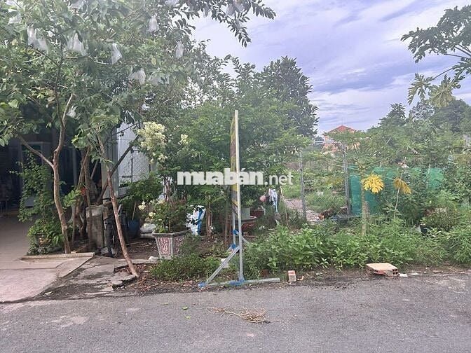 ĐẤT NỀN 1/TỈNH LỘ 7 THÁI MỸ CỦ CHI