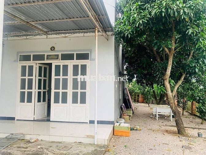 Nhà cấp 4 có vườn ở gần chợ chiều Tân Phú Trung 198,6m2 SHR giá 1 tỉ