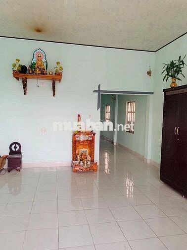 Nhà cấp 4 có vườn ở gần chợ chiều Tân Phú Trung 198,6m2 SHR giá 1 tỉ