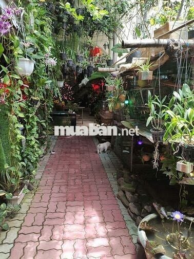 CHÍNH CHỦ BÁN HOẶC CHO THUÊ NHÀ NGUYÊN CĂN 134.7m² TẠI TRUNG TÂM TP.NT