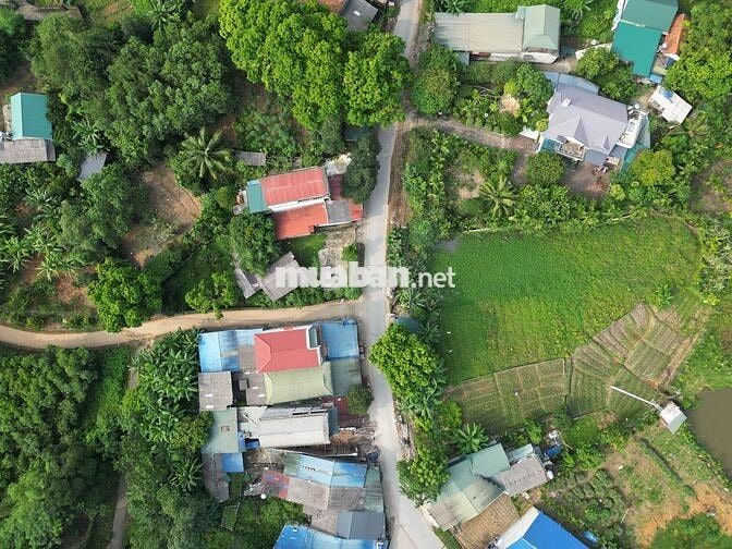 Khu 6 Yên Luật Hạ Hoà PT ~200m2 MT15,8m 100 ONT giá 4xxtr