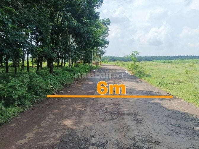 Công ty Đấu giá hợp danh Lam Sơn Sài Gòn thông báo đấu giá tài sản