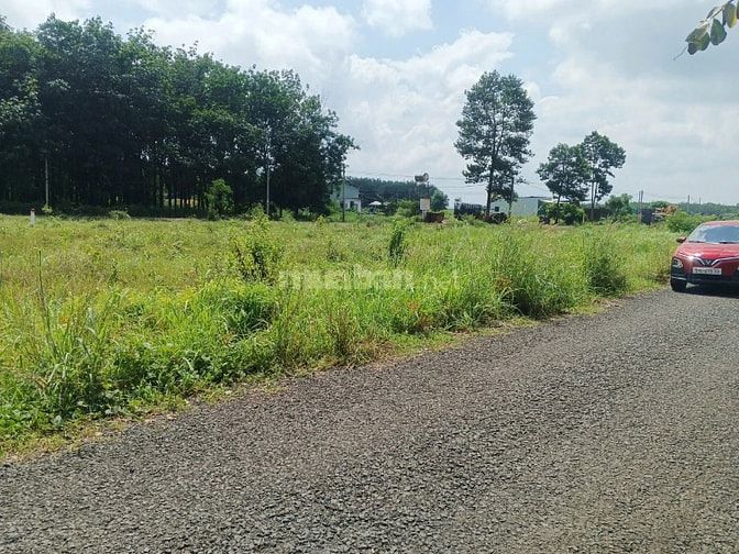 Công ty Đấu giá hợp danh Lam Sơn Sài Gòn thông báo đấu giá tài sản