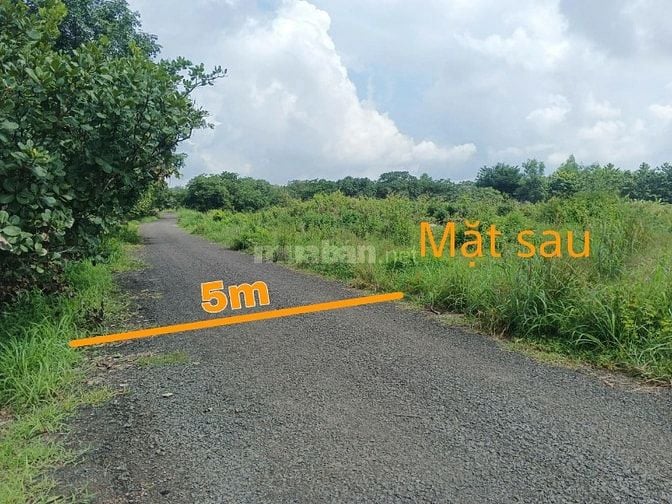 Công ty Đấu giá hợp danh Lam Sơn Sài Gòn thông báo đấu giá tài sản