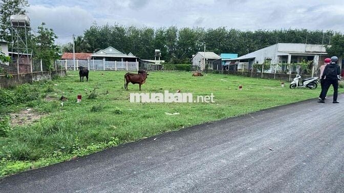 125m2 Thái Mỹ đất đẹp ngang 7m, mặt tiền đường Trung Lập, giá 1,3tỷ