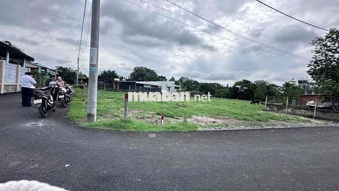 125m2 Thái Mỹ đất đẹp ngang 7m, mặt tiền đường Trung Lập, giá 1,3tỷ