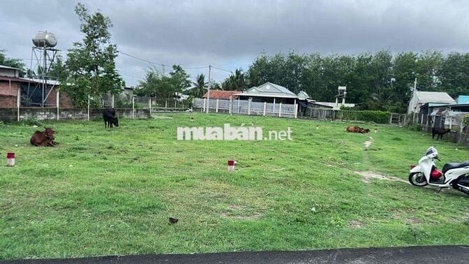 125m2 Thái Mỹ đất đẹp ngang 7m, mặt tiền đường Trung Lập, giá 1,3tỷ