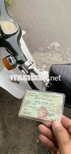 Honda Cup 81 50 Xanh Trắng