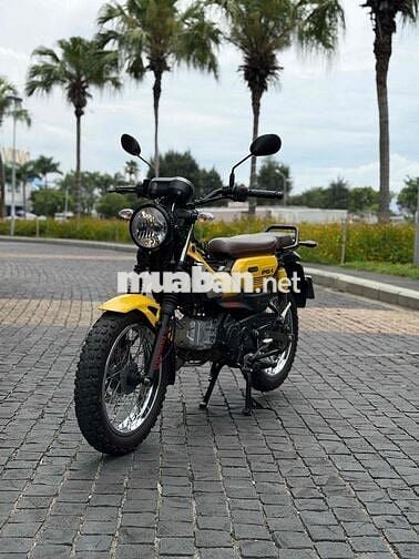 Yamaha PG-1 2024 Vàng odo thấp