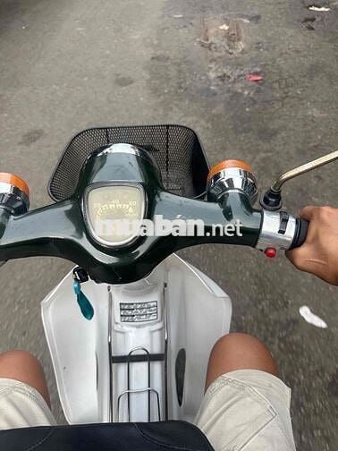 Honda Cup 81 50 Xanh Trắng