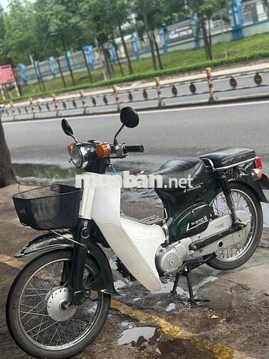 Honda Cup 81 50 Xanh Trắng
