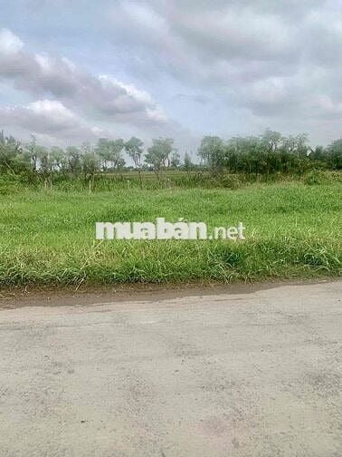 Mặt Tiền HL07 5x20 có 50 thổ cư giá chỉ 420triệu