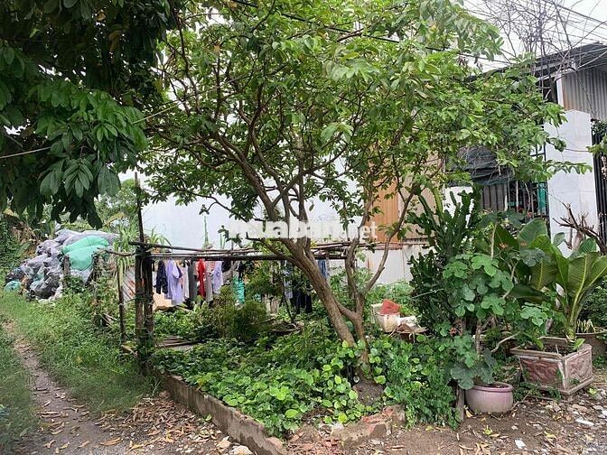 Bán Đất 1/ Đường Công Nghệ Tân Vĩnh Lộc