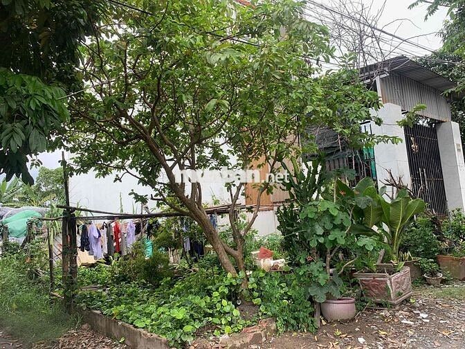 Bán Đất 1/ Đường Công Nghệ Tân Vĩnh Lộc