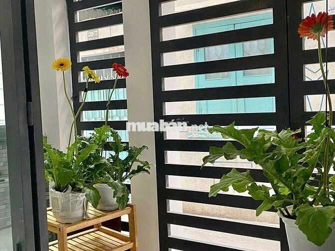 Nhà Cách Mạng Tháng 8[5,5x6 - 1 lầu, 2pn, 2toilet]