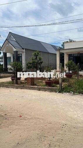 Đất Chợ Bàu Đồn 5x49 thổ cư đường ôtô 465tr DT782 vào 100m,sát KCN
