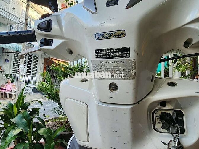 Honda Lead 2013 Trắng