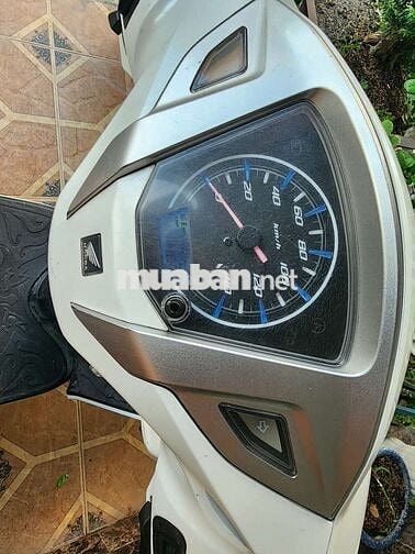 Honda Lead 2013 Trắng