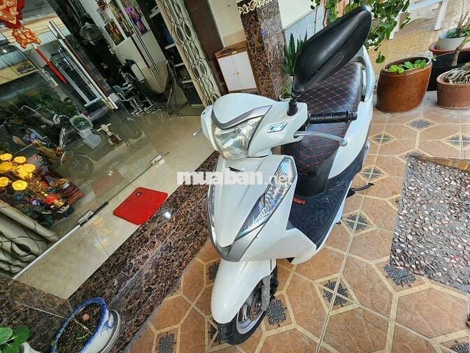 Honda Lead 2013 Trắng
