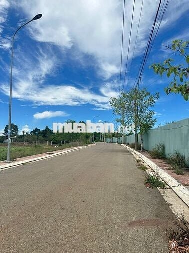 🌿 CHỦ GỬI BÁN GẤP LÔ ĐẤT ĐƯỜNG 28 HÒA LONG 140M2/1TY480