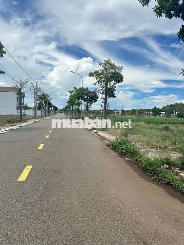 🌿 CHỦ GỬI BÁN GẤP LÔ ĐẤT ĐƯỜNG 28 HÒA LONG 140M2/1TY480