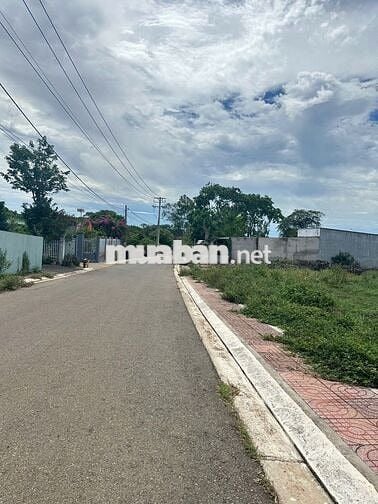 🌿 CHỦ GỬI BÁN GẤP LÔ ĐẤT ĐƯỜNG 28 HÒA LONG 140M2/1TY480