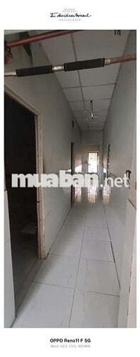 Nhà thuê  sơn mới 4-20 Đường Lại Hùng Cường Vĩnh Lộc b bình chánh phcm