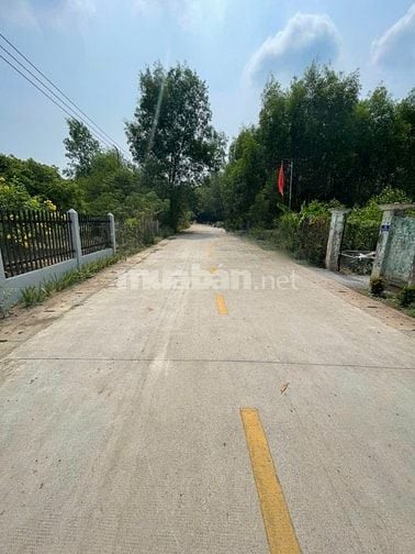 LÔ ĐẤT 278m² FULL THỔ CƯ TÂN THÀNH 52 HIẾM - CHÍNH CHỦ CẦN BÁN NHANH