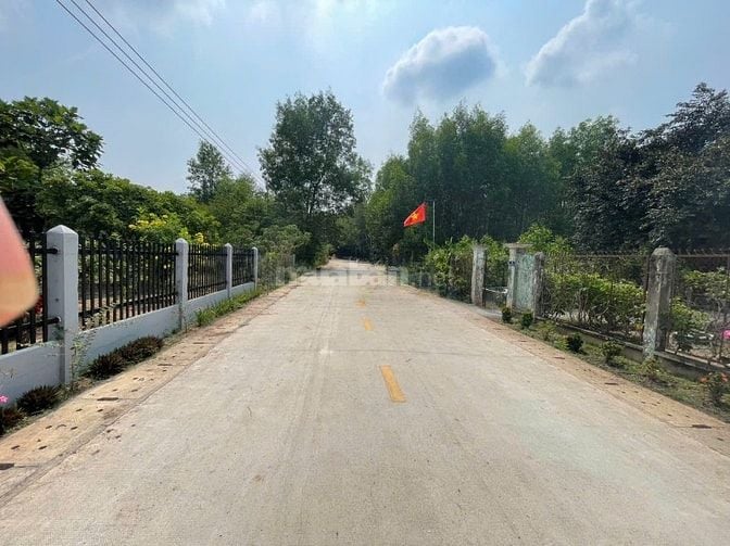 LÔ ĐẤT 278m² FULL THỔ CƯ TÂN THÀNH 52 HIẾM - CHÍNH CHỦ CẦN BÁN NHANH