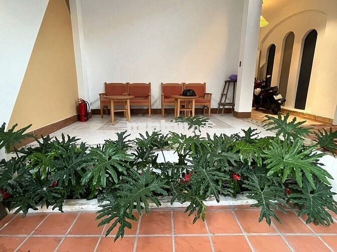 Bán tòa căn hộ doanh thu 85 triệu/ tháng ở Hải Châu gần Đống Đa