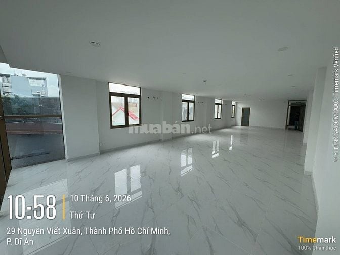 CHO THUÊ TÒA NHÀ VĂN PHÒNG 2 TẦNG CÓ THANG MÁY – ĐẸP HIẾM TẠI D