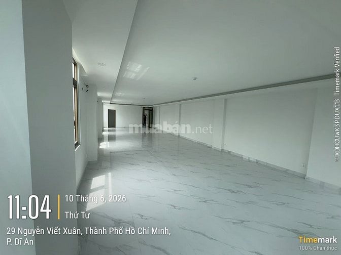 CHO THUÊ TÒA NHÀ VĂN PHÒNG 2 TẦNG CÓ THANG MÁY – ĐẸP HIẾM TẠI D