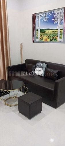 Cho thuê căn hộ cao cấp  Dhome. Trung tâm khu Chợ Lớn. Full nội thất
