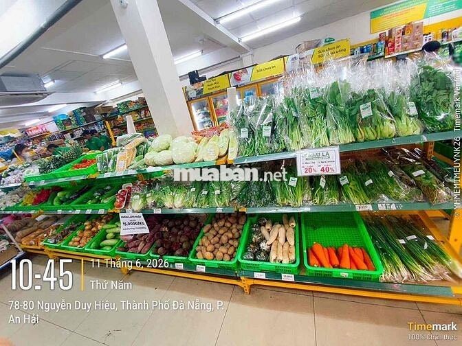 bách hoa xanh tuyen đi làm liền