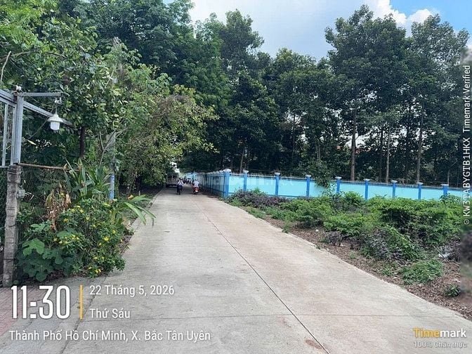 CHÍNH CHỦ BÁN ĐẤT TÂN THÀNH 30 FULL THỔ CƯ (359.9m² – GẦN KCN)
